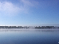 00506RoCrLe - Misty in the morning.jpg